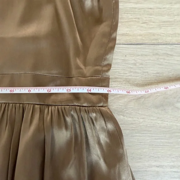 Vfish Taupe Silk Dress with Pleated Trim - Picture 7 of 9